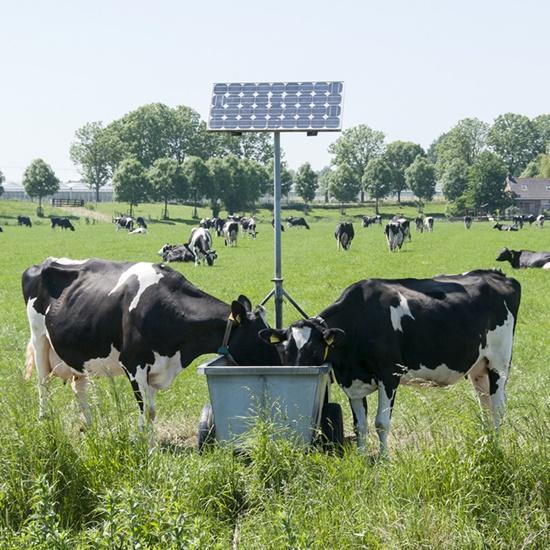 Sustainable Farming: How Solar Technology is helping Farmers provide fresh clean water in winter for their cattle