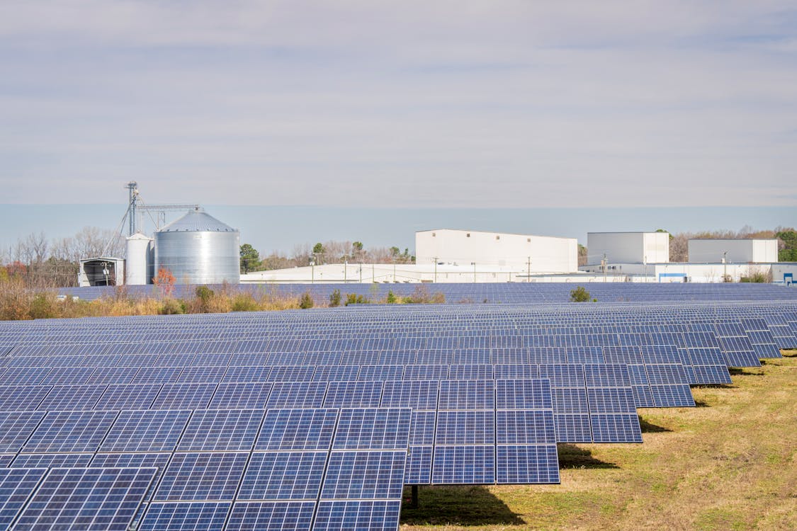 rows of solar panels in a farmer’s field