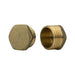 3/4" BSPT Brass Male End Cad